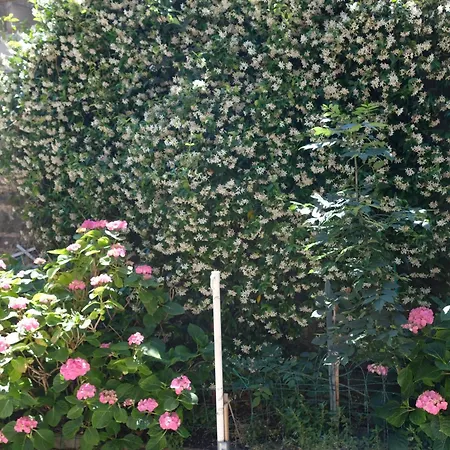 Discover Appennino - Via Roma 64 - * מונטקרטו