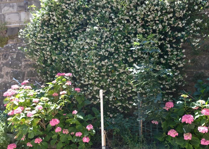 Discover Appennino - Via Roma 64 - * מונטקרטו